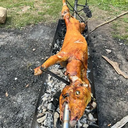 住宿加早餐酒店 Bjelasnica-villa-treskina Dvorista-apartmani-izletiste-ribnjak