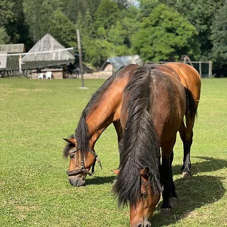 Bjelasnica-villa-treskina Dvorista-apartmani-izletiste-ribnjak