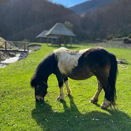 Bjelasnica-villa-treskina Dvorista-apartmani-izletiste-ribnjak * 塞拉耶佛