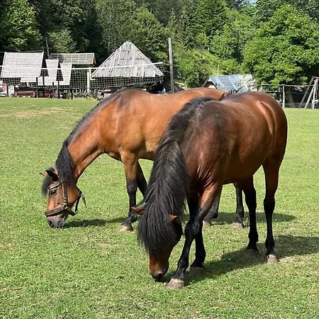 Bjelasnica-villa-treskina Dvorista-apartmani-izletiste-ribnjak