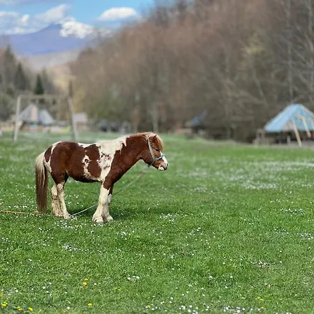 Bjelasnica-villa-treskina Dvorista-apartmani-izletiste-ribnjak * 塞拉耶佛