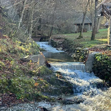 Bjelasnica-villa-treskina Dvorista-apartmani-izletiste-ribnjak 塞拉耶佛