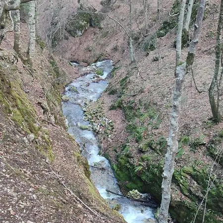 Bjelasnica-villa-treskina Dvorista-apartmani-izletiste-ribnjak 住宿加早餐酒店 塞拉耶佛