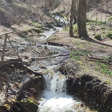 住宿加早餐酒店 Bjelasnica-villa-treskina Dvorista-apartmani-izletiste-ribnjak