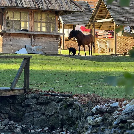 Bjelasnica-villa-treskina Dvorista-apartmani-izletiste-ribnjak 住宿加早餐酒店